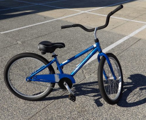 bike and surrey rentals!